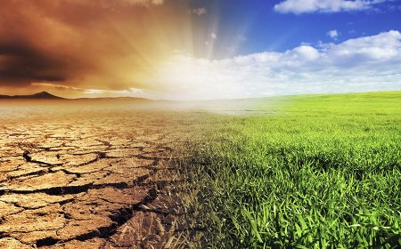 Climate Change and Environmental Science: An In-Depth Exploration