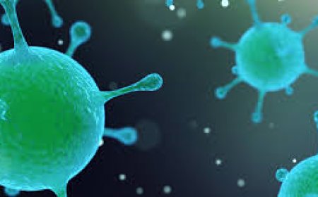 Public Health and Epidemiology: Understanding and Improving Population Health