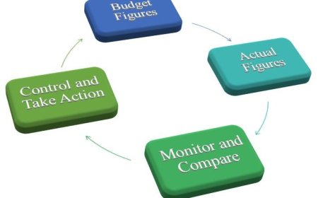 Application of Budgets and Budgetary Control Measures in a Non-Profit Organization