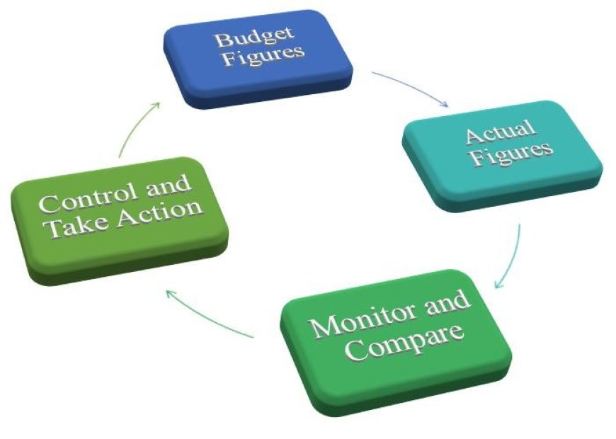 Application of Budgets and Budgetary Control Measures in a Non-Profit Organization