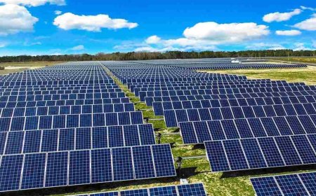 The Role of Solar Panels in Sustainable Energy Solutions
