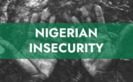 Deadly Raid in Northwestern Nigeria: Dozens Killed, Women and Children Abducted