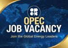 OPEC Job Vacancy: Analyst in Public Sector