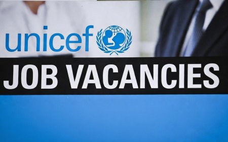 Latest UNICEF Job Vacancies in Nigeria – March 2026