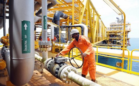 Fresh uncertainty hits Nigeria's fuel sector amid a Dangote price hike and a sustained ban on import licenses.