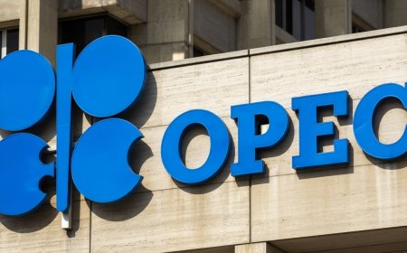 Job Vacancies at OPEC: Analyst in Public Sector
