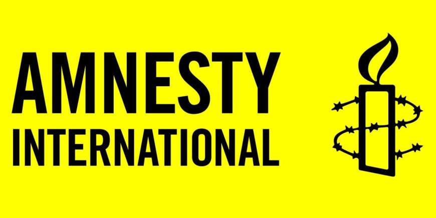 Amnesty International Raises Alarm Over Alleged DSS Crackdown on Nigerians Criticising U.S. and Israel